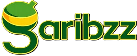 GARIBZZ - Custom T-Shirts, Hoodies & Bengali Streetwear India